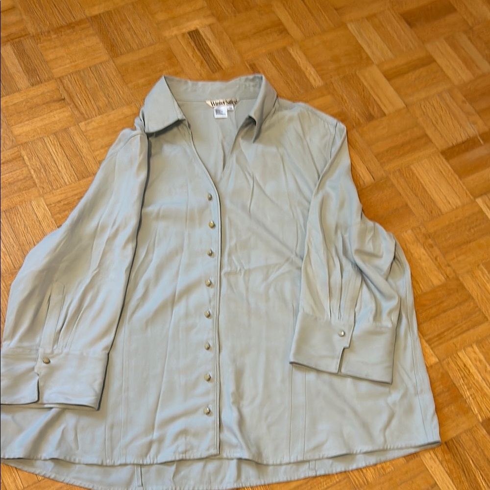Winter Silks Light Blue Button-Up Shirt. NWOT